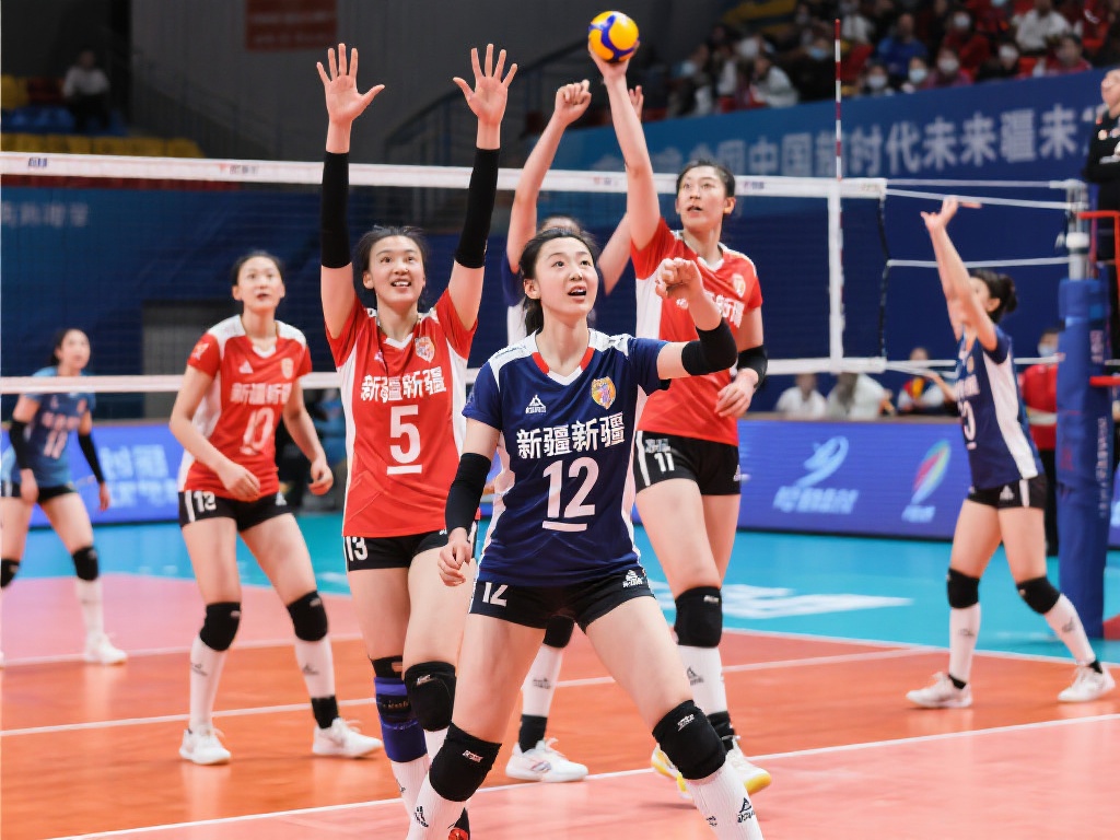 豪华阵容不 豪华阵容不